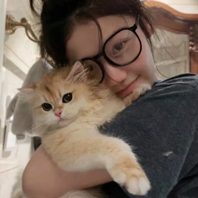 野良与皇女与流浪猫之心